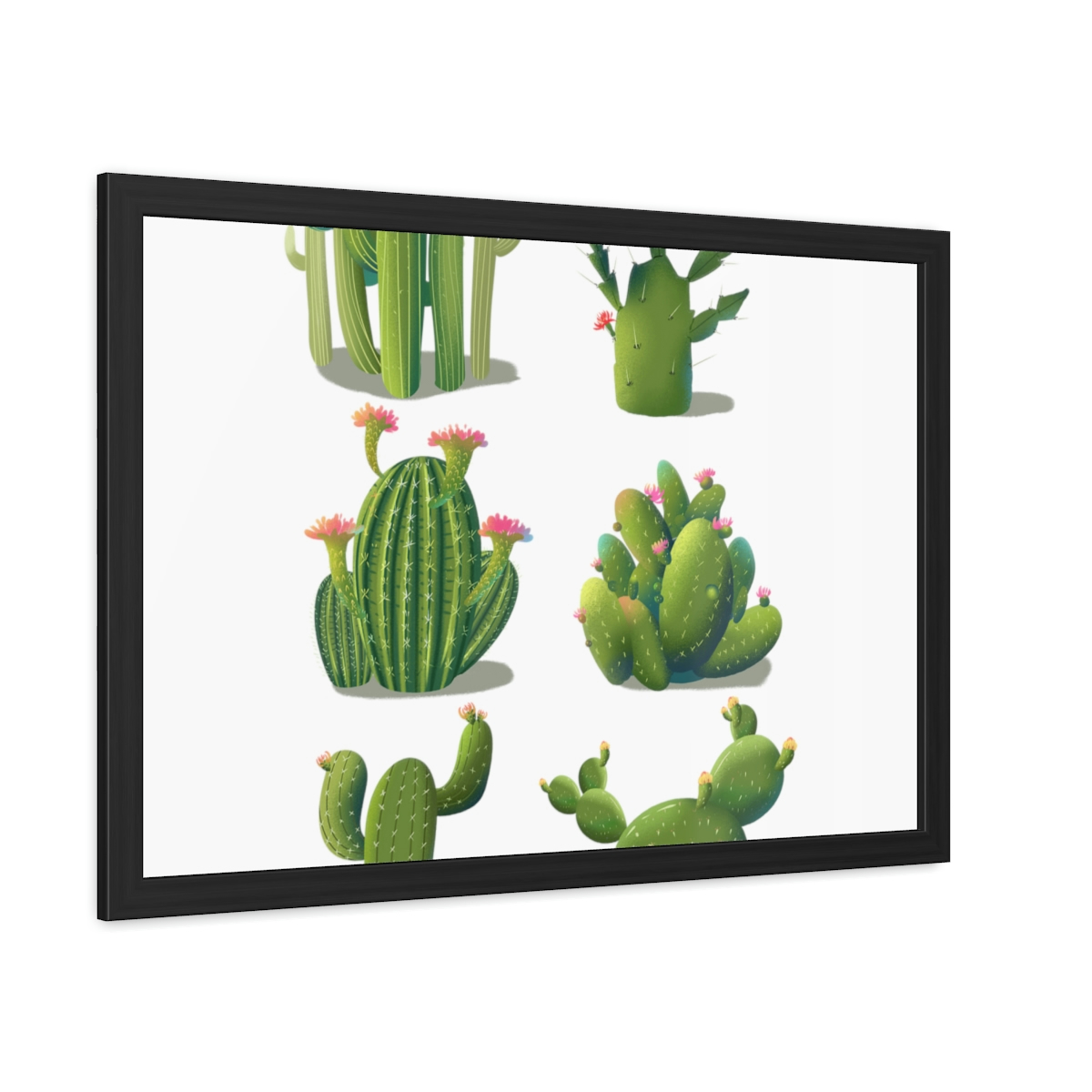 Cactus Transparent Framed Posters